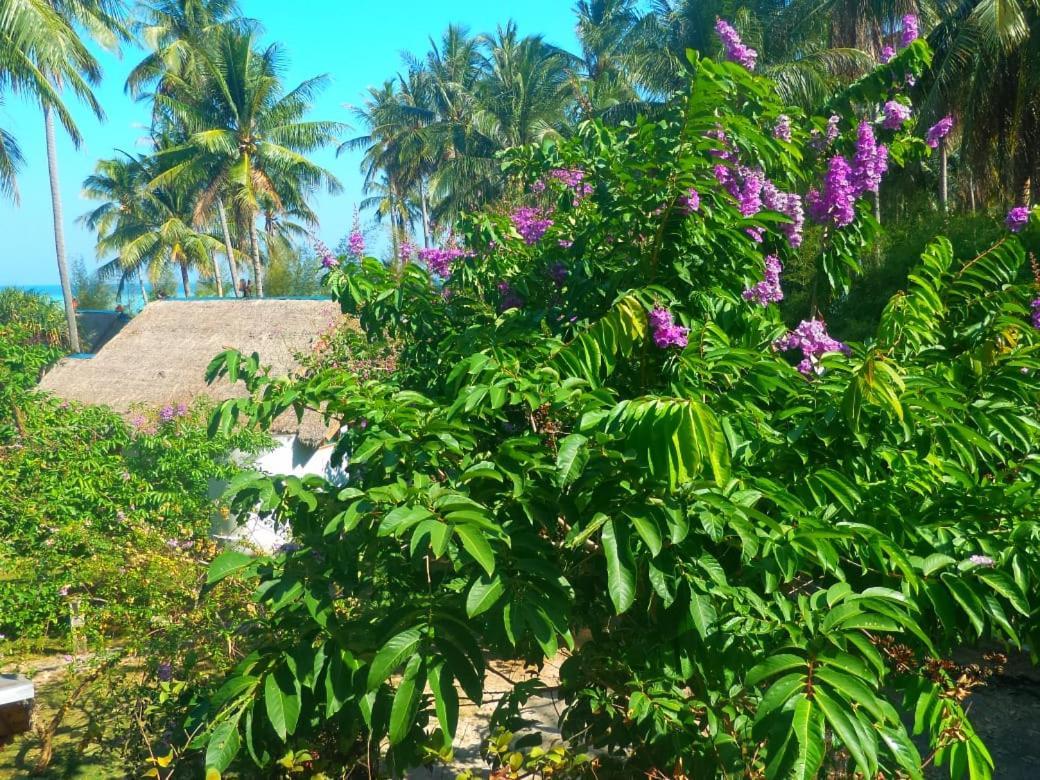 Ary'S Lagoon Bungalow & Hotel Karimunjawa Eksteriør billede