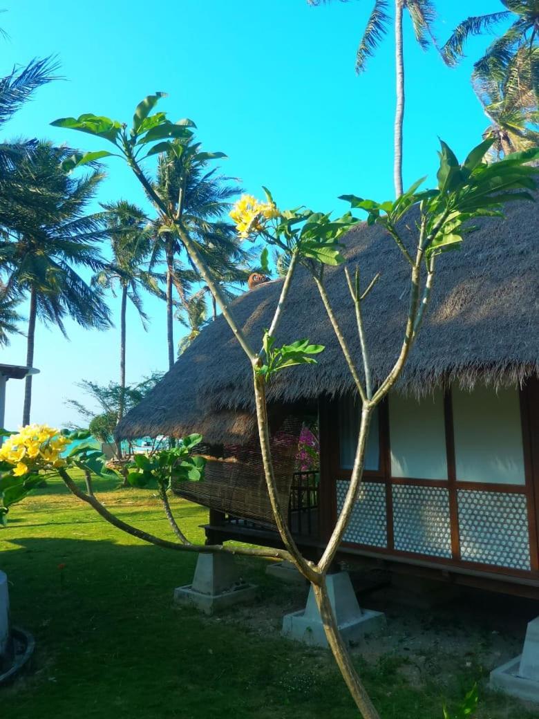Ary'S Lagoon Bungalow & Hotel Karimunjawa Eksteriør billede