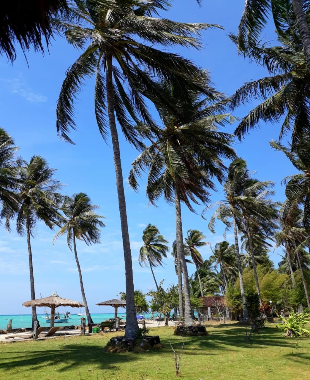 Ary'S Lagoon Bungalow & Hotel Karimunjawa Eksteriør billede